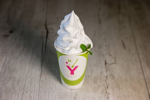 Vaschetta media gelato vegano